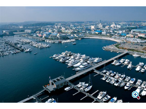 xCTCh}-i @u2012 {-gV-fXNṽTCg炨؂肵܂B