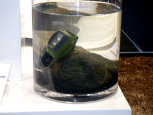 ȏԂłnjłB ViwbhvAW|v